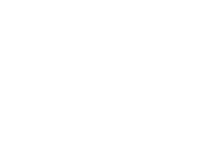 daicon inc. 